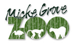 Public Naming Contest for New Bobcat at Micke Grove Zoo