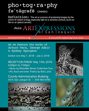 Three Photographers Featured at Art Expressions of San Joaquin