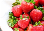 Strawberry Fundraiser for Education
