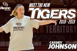 Meet the new Tigers: Cassidy Johnson