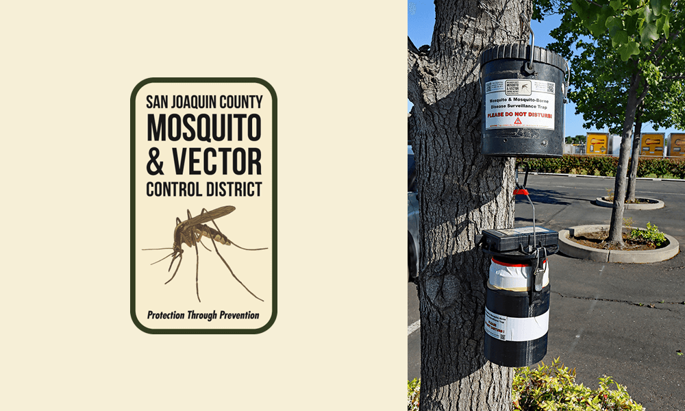 Full Mosquito Surveillance Trapping Started This Week