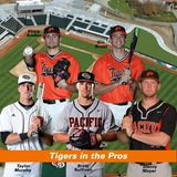 Tigers in the Pros