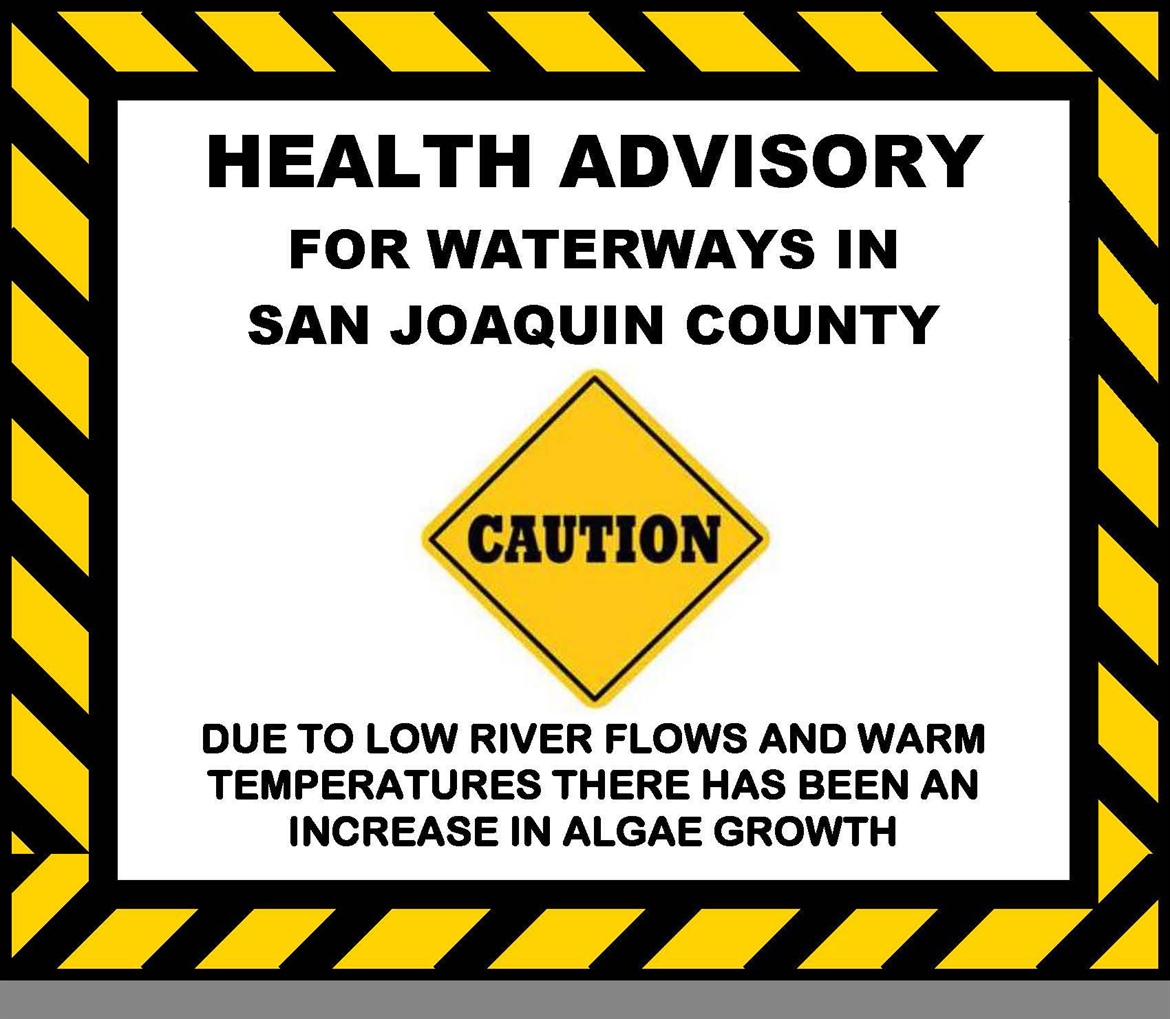 Blue-Green Algae Blooms Spotted in San Joaquin County Waterways