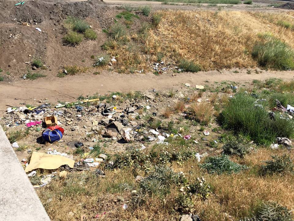 Help clean Mormon Slough in Stockton